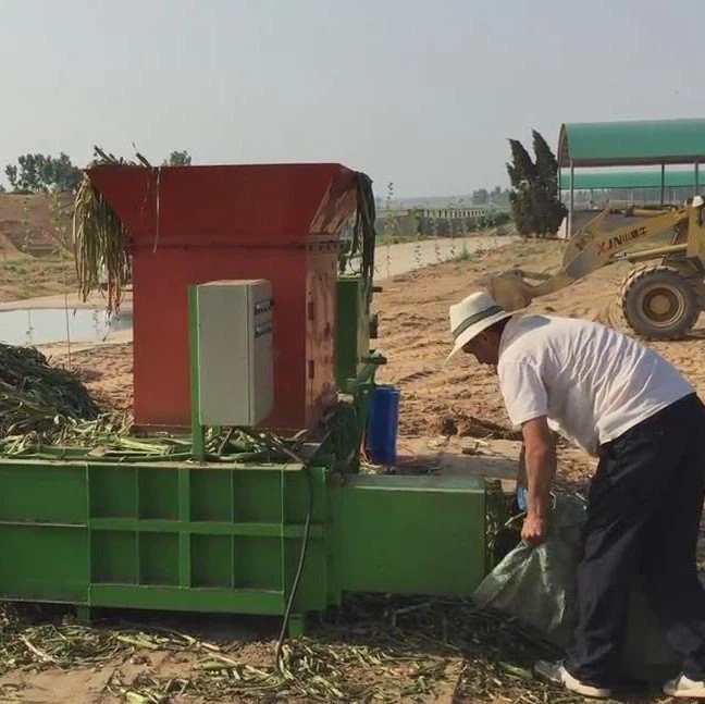 corn silage baler machine  (4)