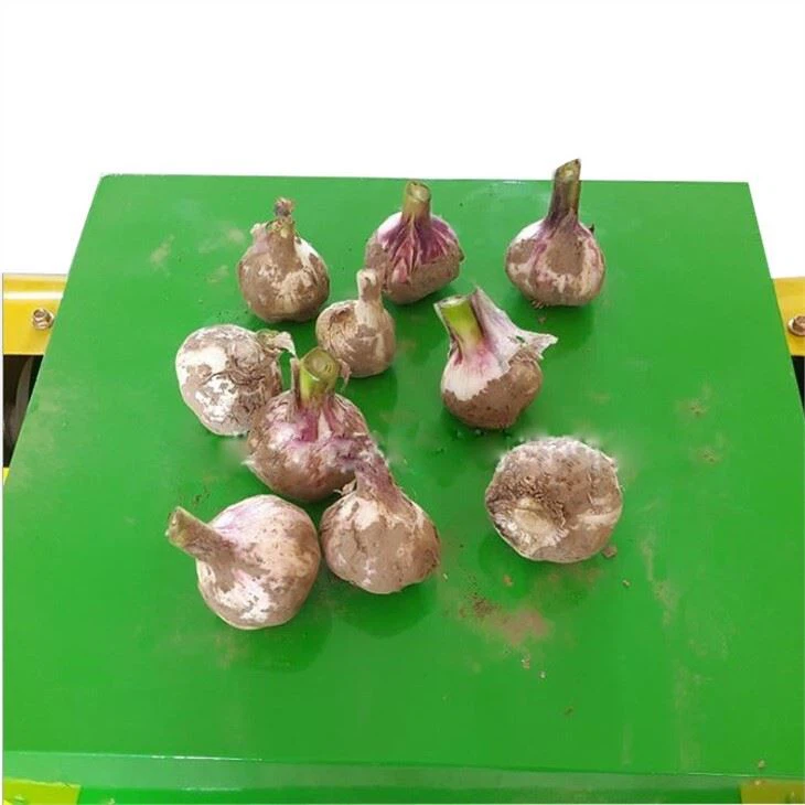Garlic Root Cutting Machine