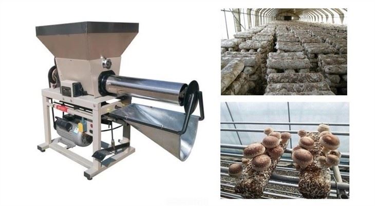 Filling Mushroom Bag Machine