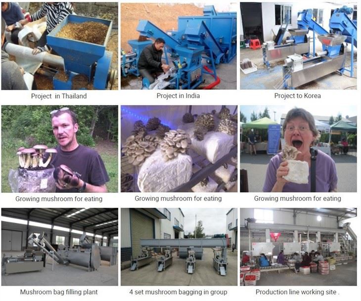 Mushroom Substrate Packing Filling Machine