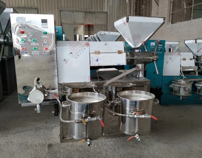 Affordable Oil Press Machine