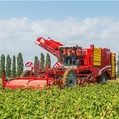 Potato Digger Harvester
