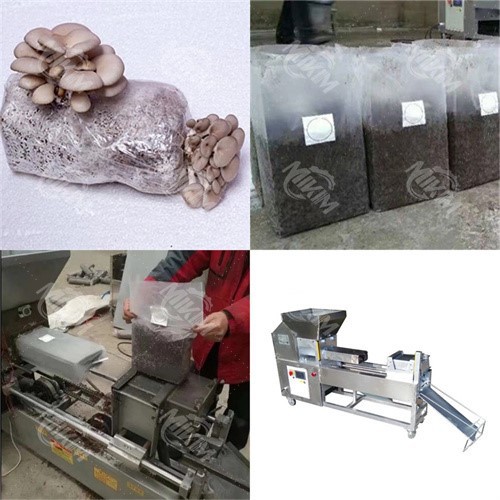 Twin Screw Square Bagging Equipment Twin Screw Square Bagging Equipment